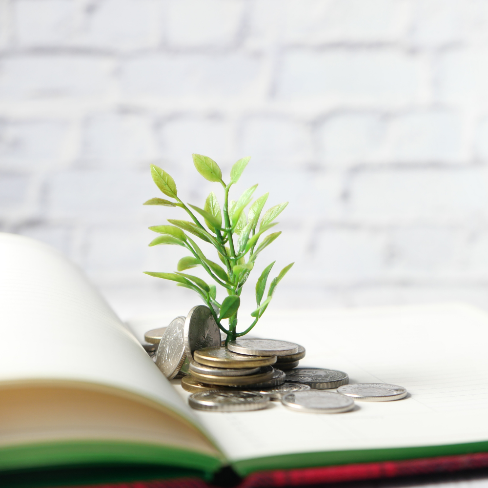 PRESTACIONES DE LA SEGURIDAD SOCIAL